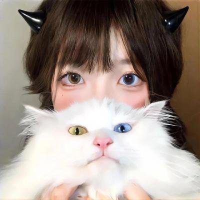加菲猫和他的朋友们第三季